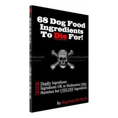Guide To Save Your Dog's Life